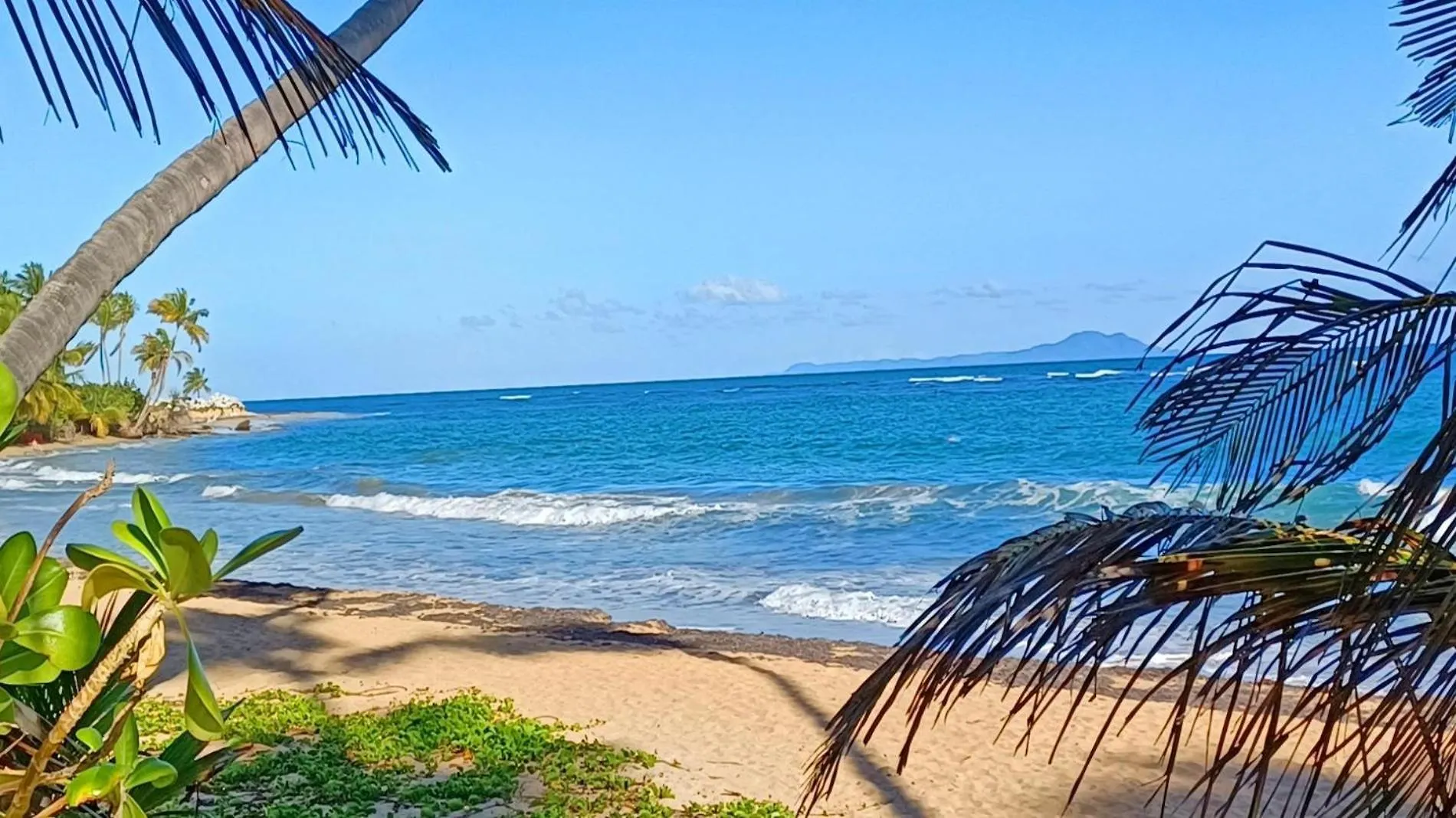 Turtle Pond Apartman Humacao